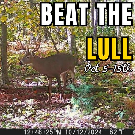 How to BEAT THE OCTOBER LULL: Hunting the First Two Weeks of Archery Season