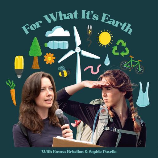 FWIE X Met Office: How can the Met Office work to boost biodiversity? With Ben Drummond
