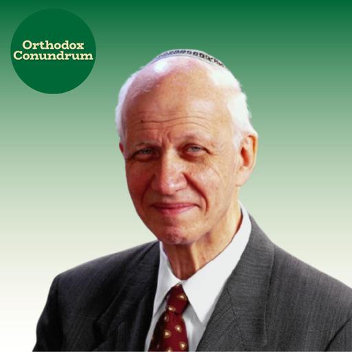 What's the Point of God If God Doesn't Intervene? With Rabbi Yitz Greenberg (306)