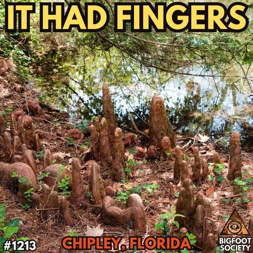 Two Field Workers Saw Something Pull Itself Through a Florida Swamp