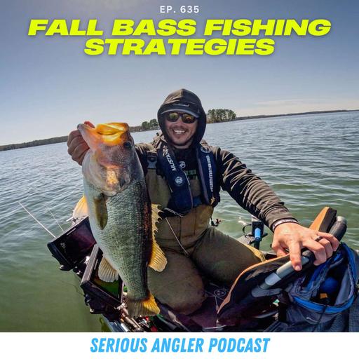 Fall Bass Fishing Strategies That Actually Work