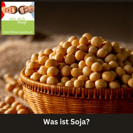 Was ist Soja?