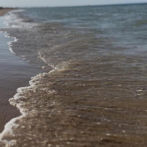 6 ottobre 2026 - Notiziario in genere - Tunisi, le donne della pesca che uniscono il Mediterraneo
