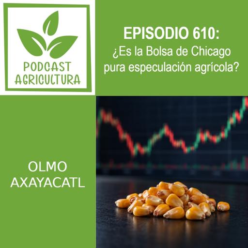 610 ¿Es la Bolsa de Chicago pura especulación agrícola?