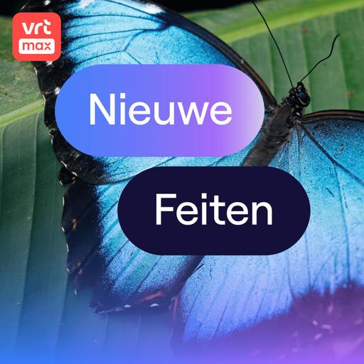 Nieuw onderzoek toont aan hoe slim vlinders echt zijn