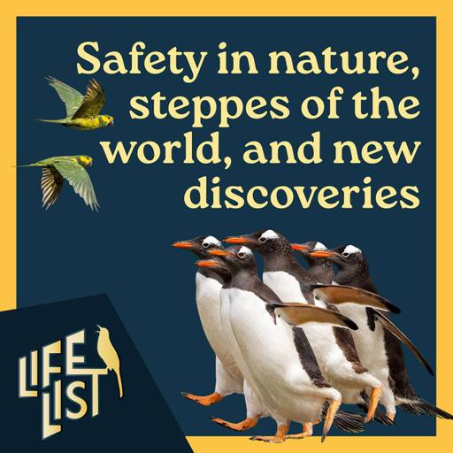 Cornell and safety in birding, steppe habitats of the world, birding Portugal, and "discovering" new species