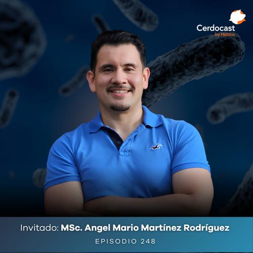 #248 - Altas inclusiones de harina de soya en engorda: Fibra y microbioma - MSc. Angel Mario Martínez Rodríguez