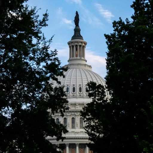 The 2026 Midterms Must-Watch List