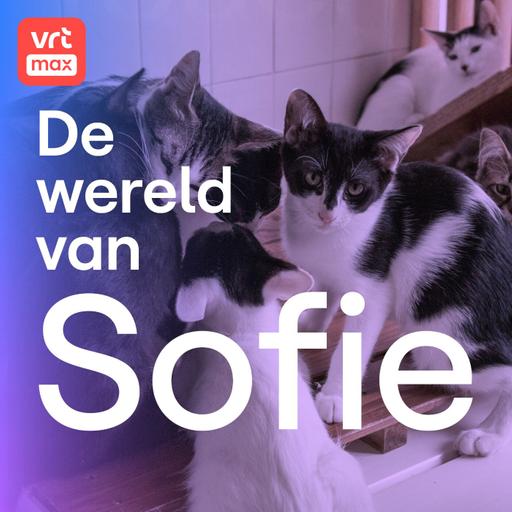 Het syndroom van Noah