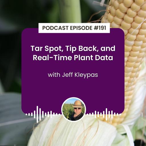 Episode 191: Tar Spot, Tip Back, and Real-Time Plant Data with Jeff Kleypas