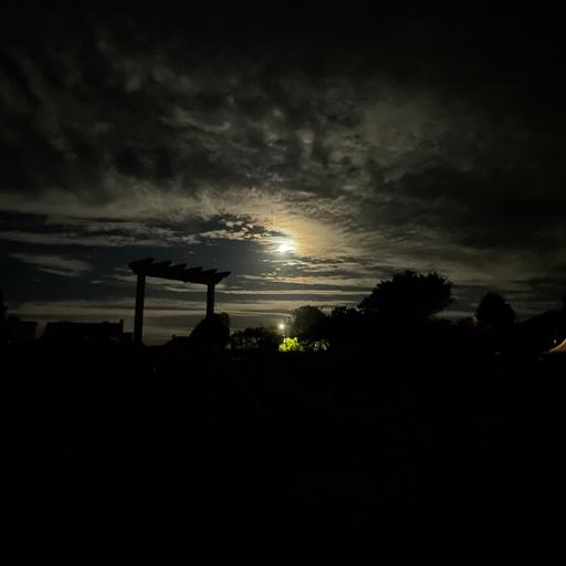 Night in Woods Hole, Massachusetts, USA in September 2026 – by Eleanor McDowall