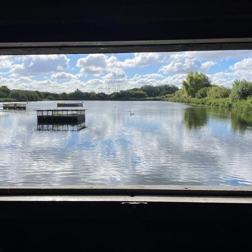 In the bird hide, Rye Meads Nature Reserve, Hertfordshire, UK on 9th September 2026 – by Eleanor McDowall