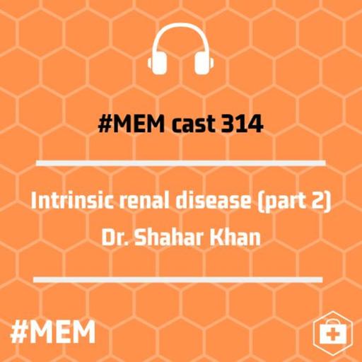 Episode 317: Intrinsic renal disease (part 2)