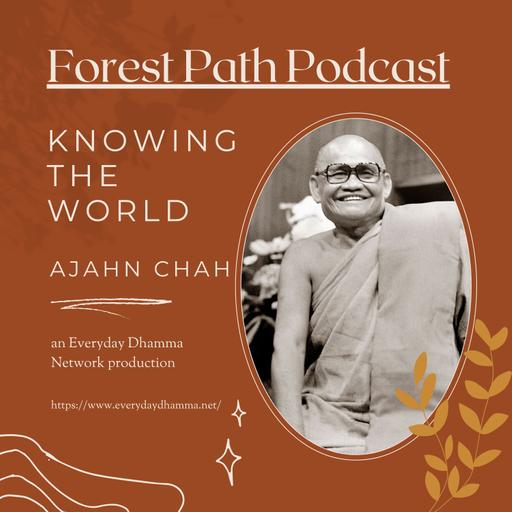 Knowing The World | Ajahn Chah