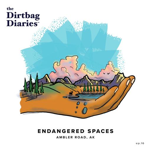 Endangered Spaces: Ambler Road, AK