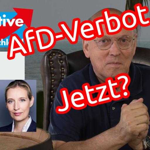 AfD-Verbot - Auswirkungen für Deutschland - Sozialismus, Ökosozialismus und Kommunismus
