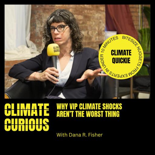 Why VIP climate shocks aren’t the worst thing, with Dana R. Fisher