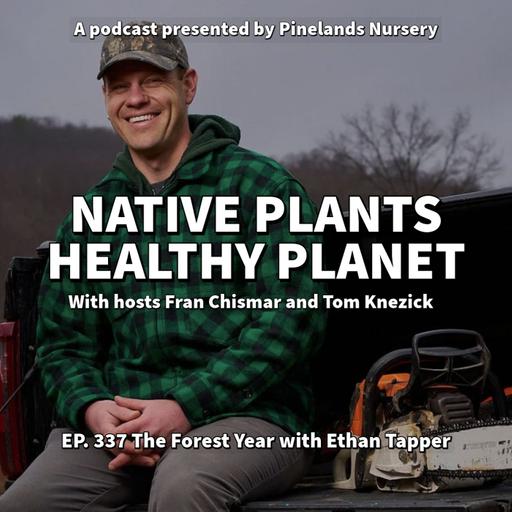The Forest Year with Ethan Tapper