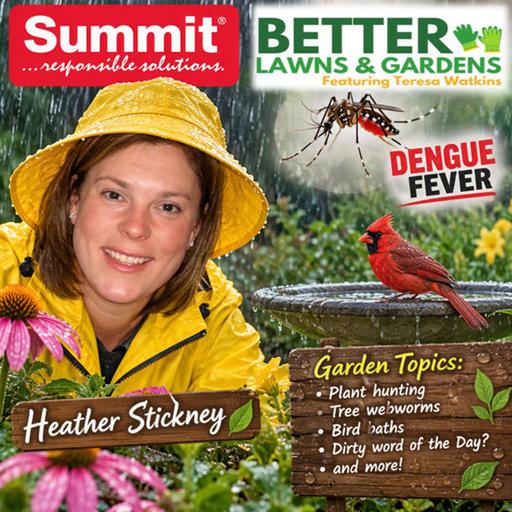 S2 Ep482: Better Lawns and Gardens - Hour 2 Rain, Hurricanes & Mosquitoes, Oh My! October 10, 2026