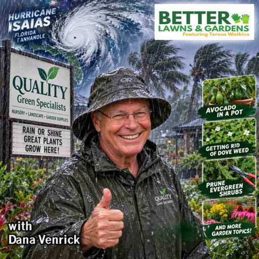 S2 Ep482: Better Lawns and Gardens - Hour 1 Rain, Roots & Rot: The Post-Storm Garden October 10, 2026