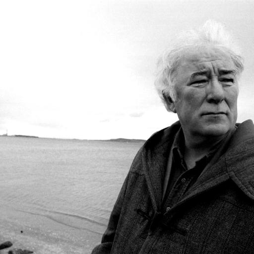 Seamus Heaney’s “Storm on the Island”