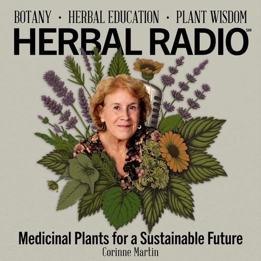 Medicinal Plants for a Sustainable Future | Featuring Corinne Martin