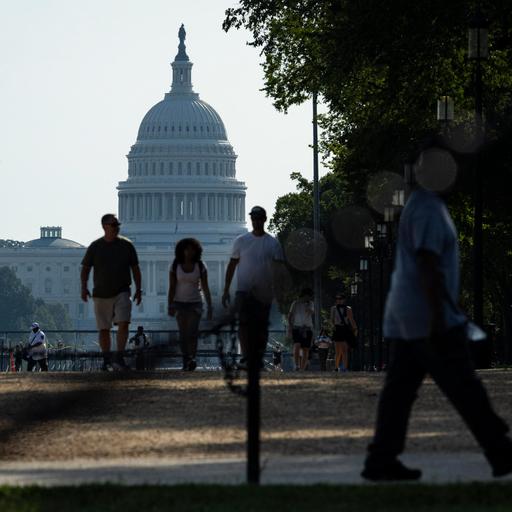 Midterms in den USA – Die Gerrymandering-Falle