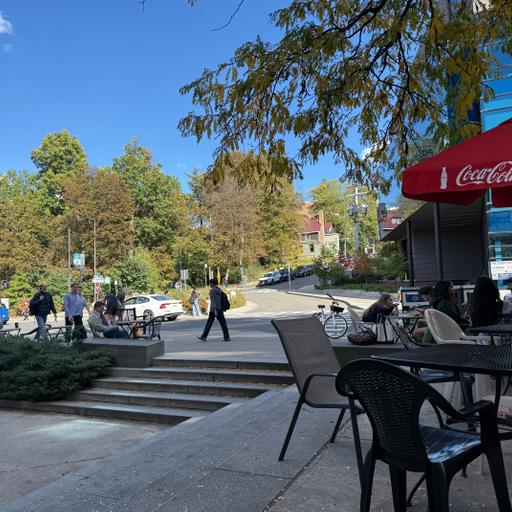 Live from Ithaca