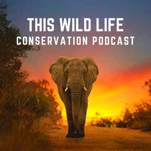 Remembering Giraffes | Stephanie Fennessy and Margot Raggett MBE