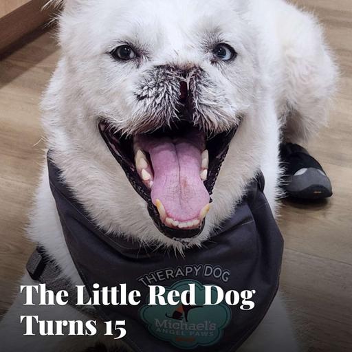The Little Red Dog Turns 15