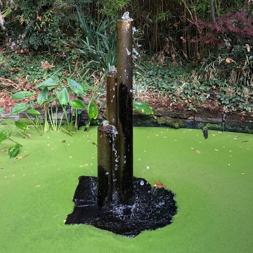 At the bottom of the garden, by the fountain, Surbiton, UK in September 2026 – by Alia Cassam