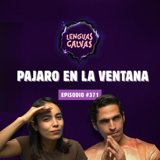PAJARO EN LA VENTANA | #371 Lenguas Calvas Podcast