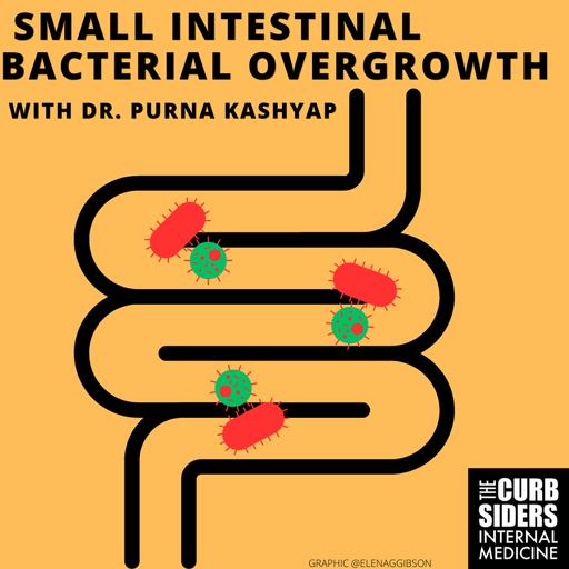 #542: Small Intestinal Bacterial Overgrowth (SIBO) with Dr. Purna Kashyap