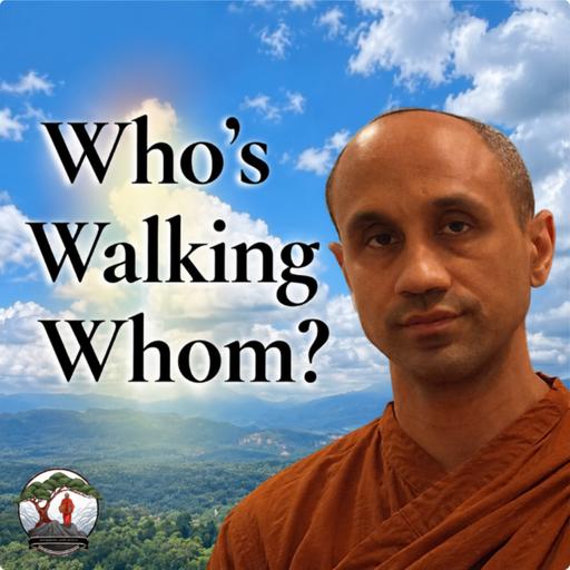Sit. Stay. Good Mind! | Bhante Joe