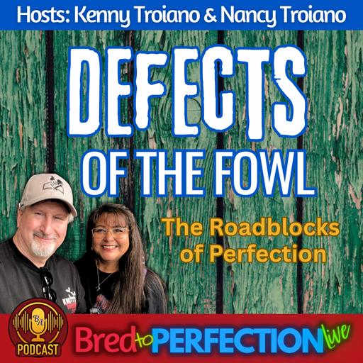Ep307 - Defects of the Fowl - The Road-blocks of Perfection