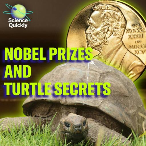 Nobel winners, neutrino detectors and nature’s longest-living tortoise