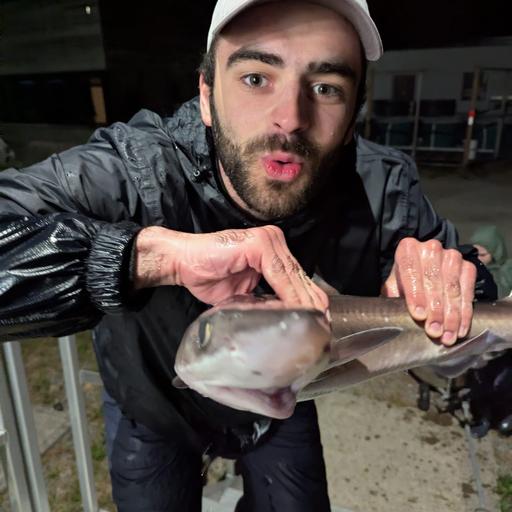 377- Sharks, Steroids, and Symbiosis with Elliot Cederberg