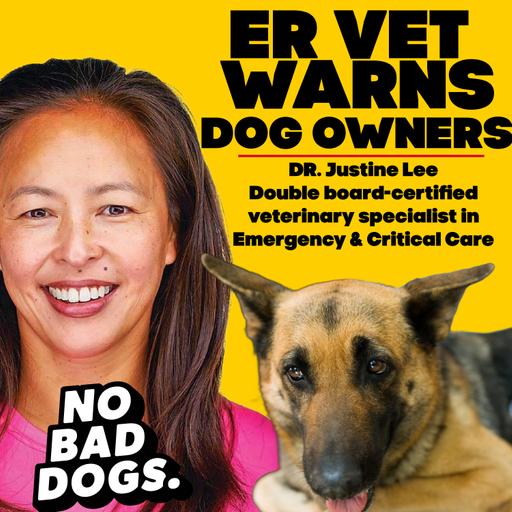 E322- ER Vet WARNS: Your Dog Could Be in DANGER and You Wouldn't Even Know!
