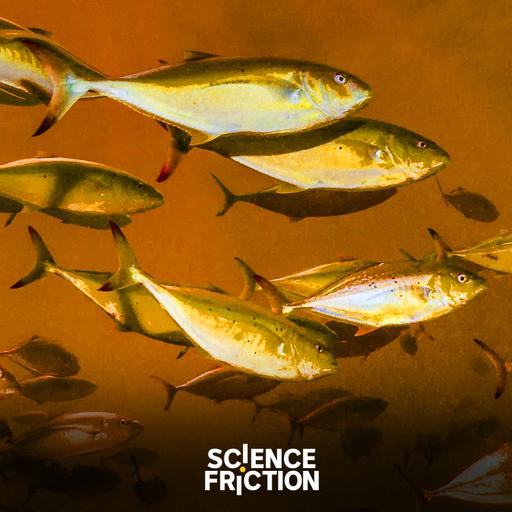 01 | Outbreaks: The aquarium illness