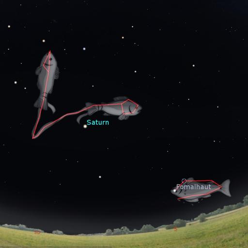 Tierische Sternbilder - Fröhliches Fischen am Nachthimmel