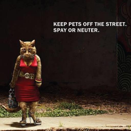We All Should be Friends of Animals