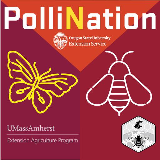 307 - Are Bees Losing Their Way? How Odor Pollution Disrupts Pollination | PolliNation