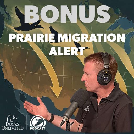 BONUS: Prairie Migration and Hunting Update