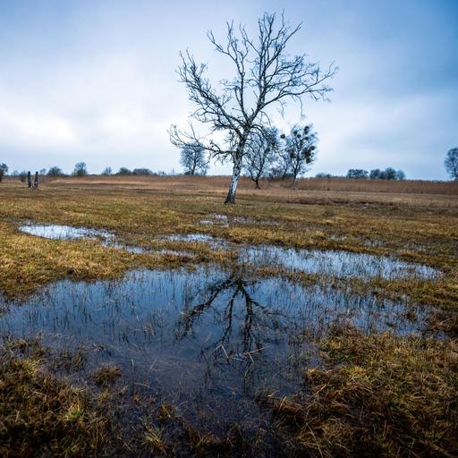 Kommentar zum Klimaschutz: Gute Luft als Geschäftsmodell