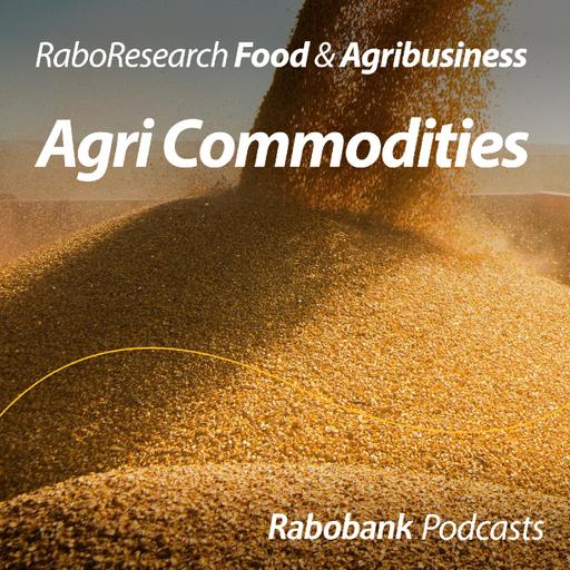 October WASDE – The corn ultimatum
