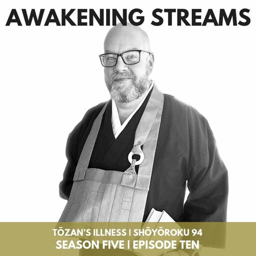 The One Who Is Not Sick: Tōzan’s Illness — Book of Serenity (Shōyōroku), Case 94