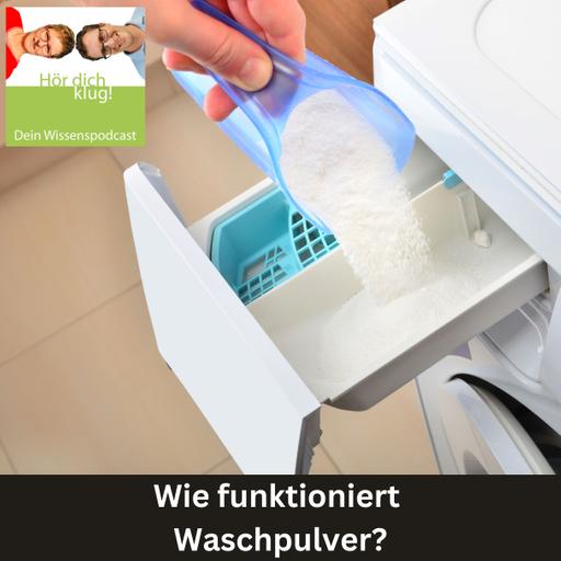 Wie funktioniert Waschpulver?