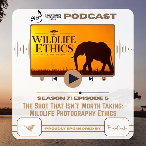 YWP Podcast - Season 7 Episode 5 - The Shot That Isn’t Worth Taking: Wildlife Photography Ethics