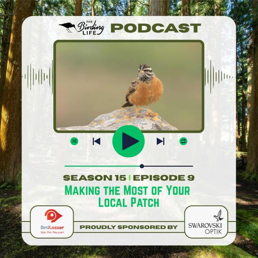 TBL Podcast - Season 15 Episode 9 - Making the Most of Your Local Patch