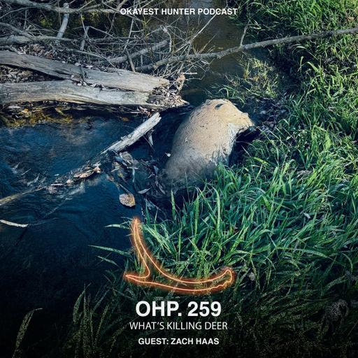 EHD Is Killing Wisconsin Deer: What's Happening? | Zach Haas